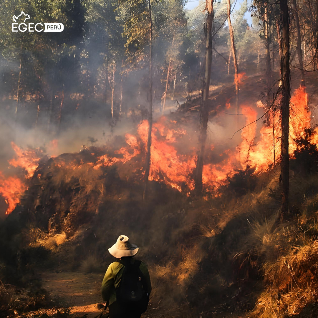 Incendios forestales en Perú