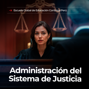 administración del sistema de justicia