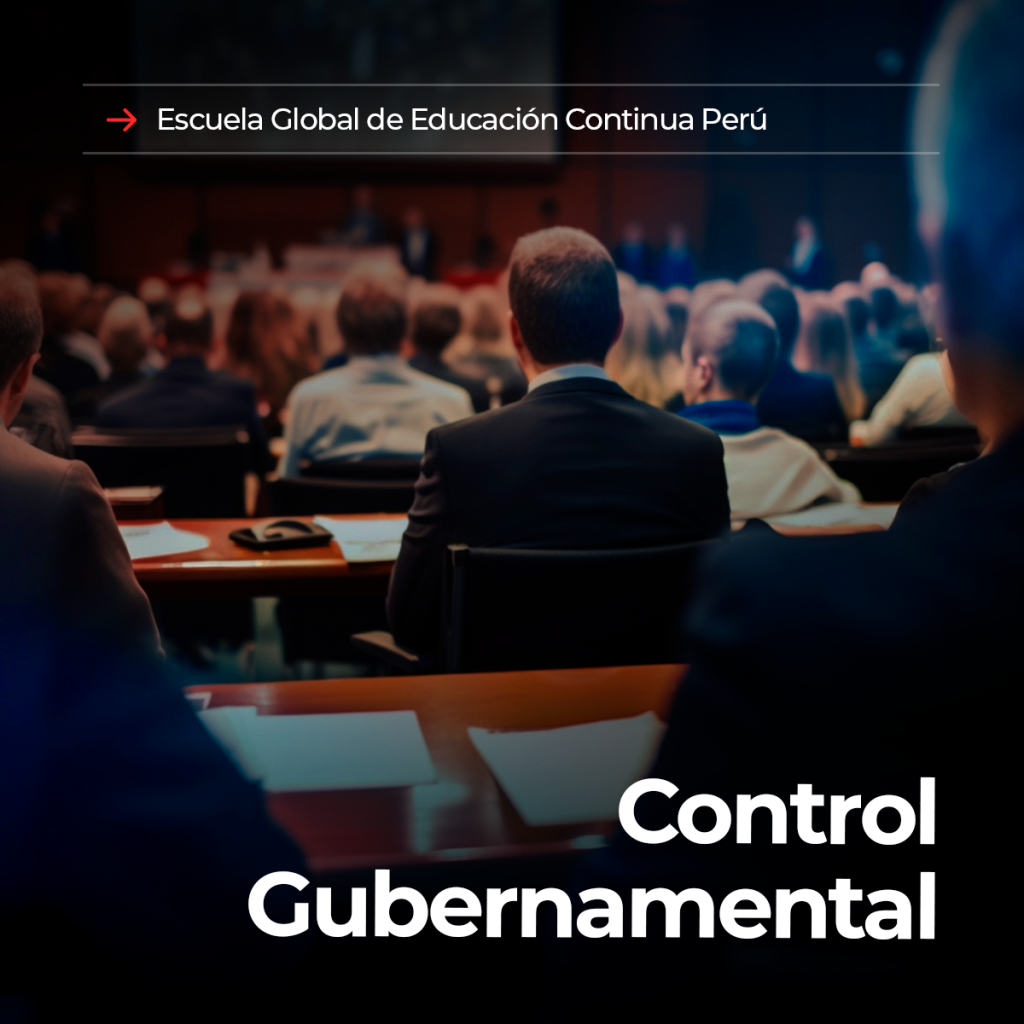Control Gubernamental - EGEC PERÚ