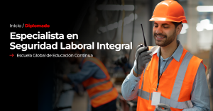 Especialista En Seguridad Laboral Integral