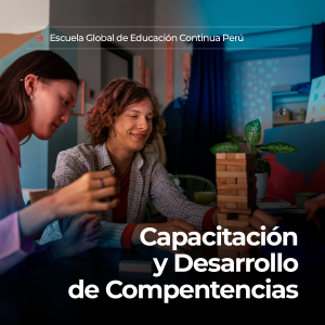 capacitación y desarrollo de competencias