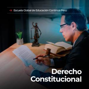 derecho constitucional