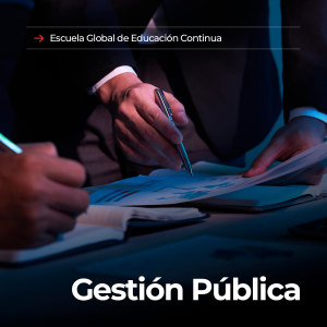 gestión pública