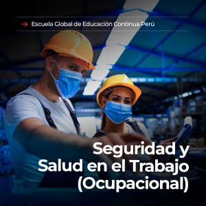 seguridad y salud en el trabajo (ocupacional)